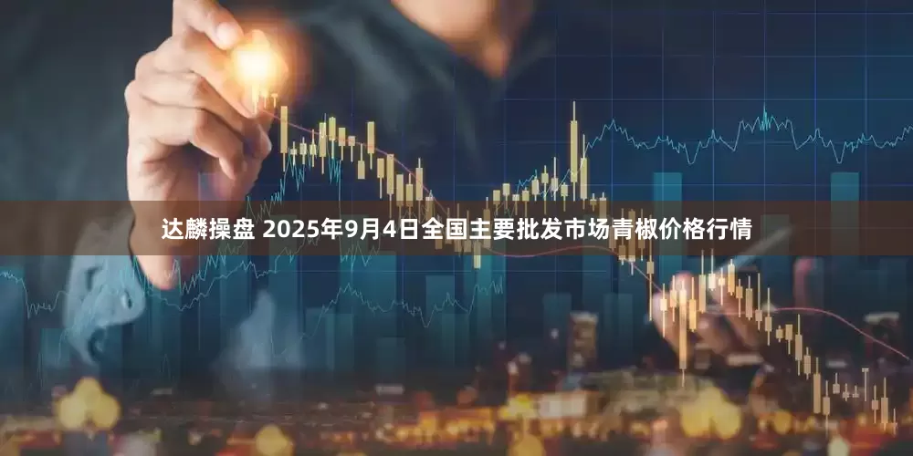 达麟操盘 2025年9月4日全国主要批发市场青椒价格行情